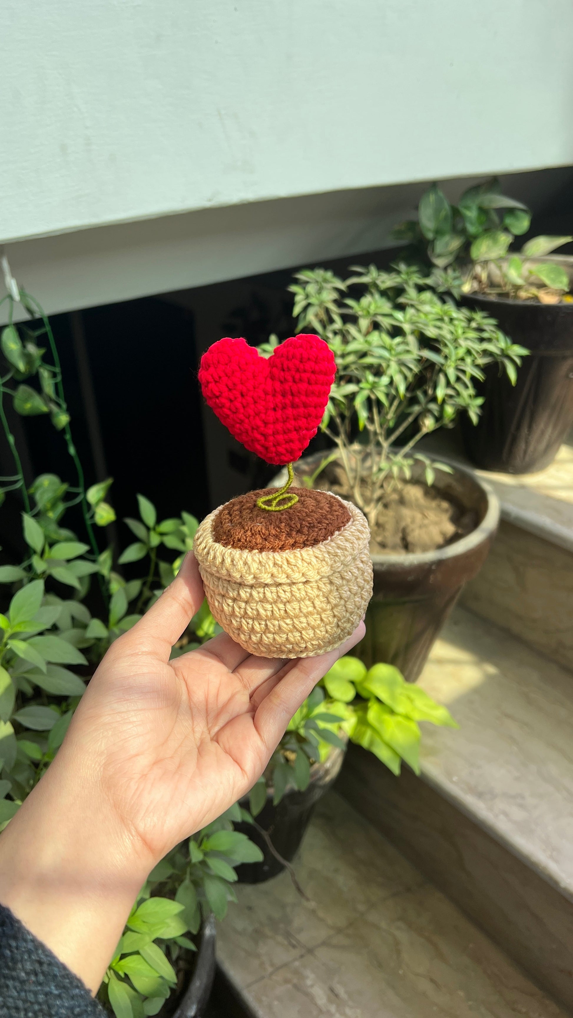 Muhabbat Ka Poda -Crochet Heart Pot Gift Gulyarn