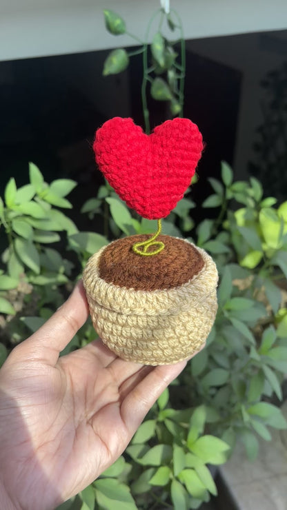 Muhabbat Ka Poda -Crochet Heart Pot Gift
